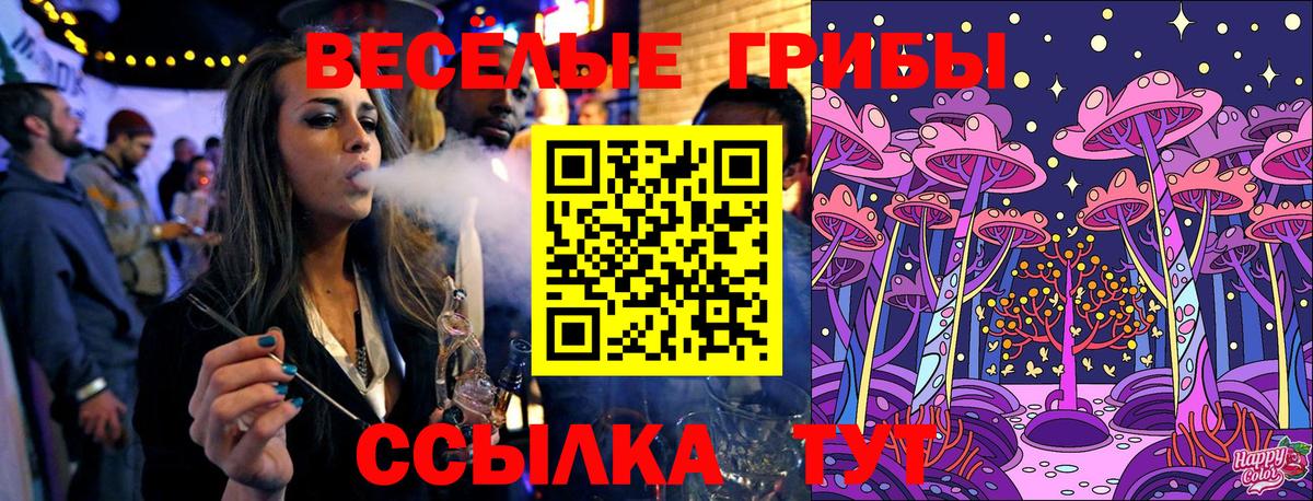 Энгельс  Псилоцибиновые грибы Psilocybine cubensis  Вход с VPN 