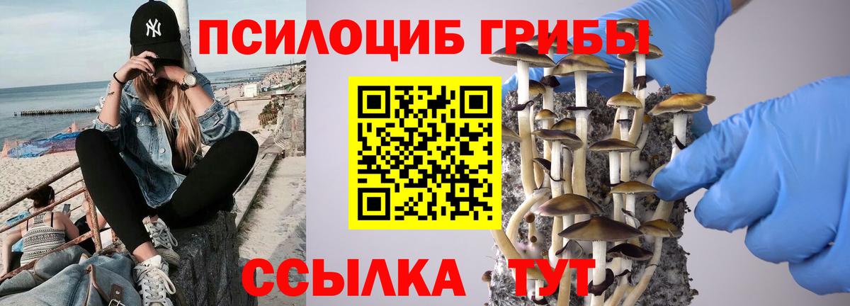 Галлюциногенные грибы GOLDEN TEACHER Энгельс